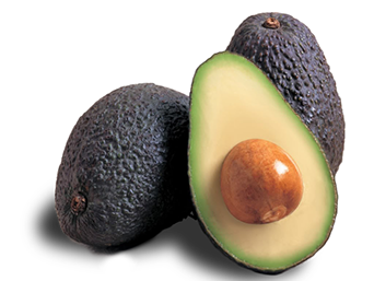 Aguacate Hass - Global Food Trading